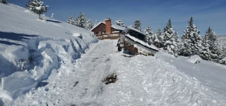 Marv's Quality Towing Inc JunkYard in Boulder (CO) - photo 3