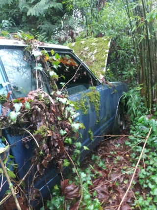 R & R Recycling JunkYard in Tacoma (WA) - photo 3