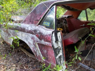 Hart Auto Salvage JunkYard in Hawthorne (FL) - photo 4