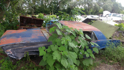 International Auto Parts JunkYard in Spring Hill (FL) - photo 4