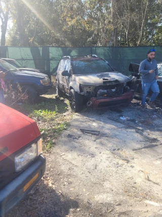 Stepp's Auto & Truck Salvage, Inc. JunkYard in San Antonio (FL) - photo 3