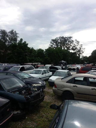 Ben's Auto Salvage JunkYard in New Port Richey (FL) - photo 3