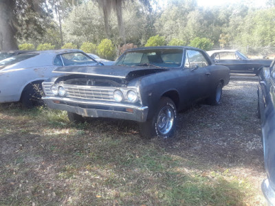 Carters Auto Recycling JunkYard in Floral City (FL) - photo 2