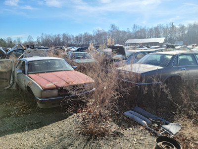 D.H. Griffin. JunkYard in Greensboro (NC) - photo 2