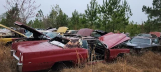 Cadillac Heaven JunkYard in Leland (NC) - photo 4