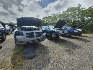 Crazy Ray's Auto Parts JunkYard in Baltimore (MD) - photo 2