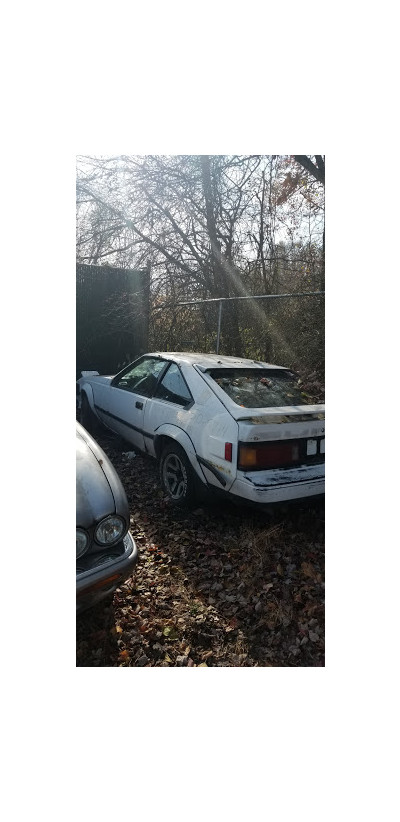 Midway Auto, Inc. JunkYard in Morganville (NJ) - photo 3