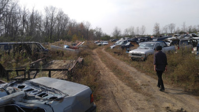 Bourbon Auto Salvage JunkYard in Lexington (KY) - photo 3