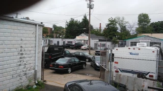 D'Agostino's Auto Sales & Salvage - photo 1