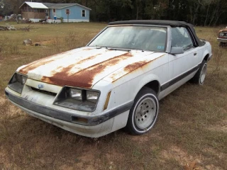 Quinn & Sons Auto Salvage JunkYard in Dothan (AL) - photo 3