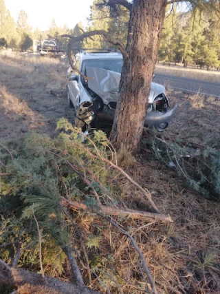 Paiges Towing JunkYard in Avondale (AZ) - photo 4