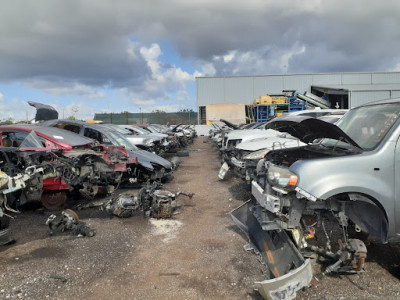 U-Pull-It JunkYard in Davie (FL) - photo 3