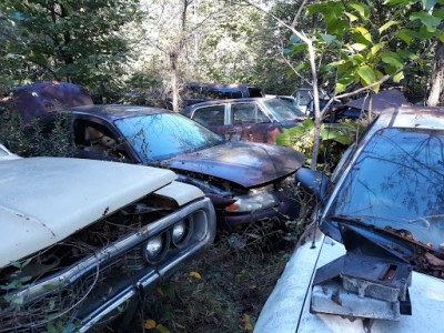 Stewart Criswell & Sons Inc. JunkYard in Bear (DE) - photo 2