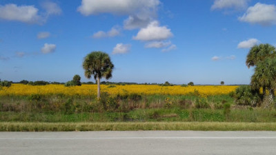 South Florida Towing Transport JunkYard in Cutler Bay (FL) - photo 1