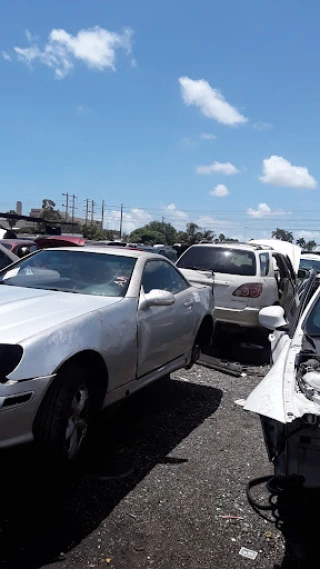 Pick Your Part - Ft. Lauderdale JunkYard in Fort Lauderdale (FL) - photo 4