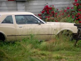 Junk Car Cash JunkYard in Paterson (NJ) - photo 2