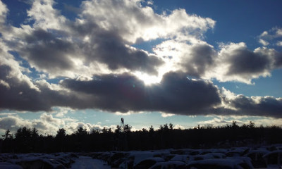 LKQ - Leominster, MA JunkYard in Leominster (MA) - photo 2