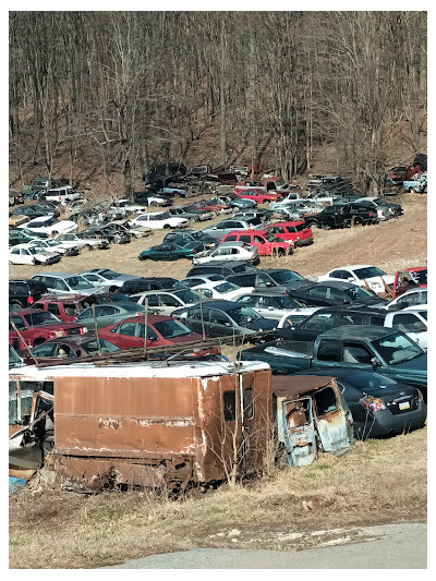 Evans Auto Salvage JunkYard in Harrisburg (PA) - photo 1