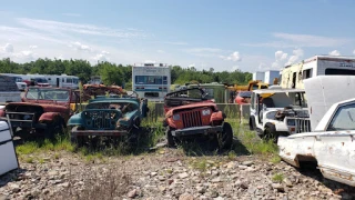 Frankie's Used Auto Parts JunkYard in York (PA) - photo 3