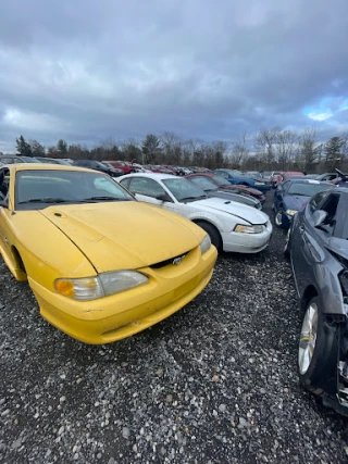 Telford Auto Parts JunkYard in Pottstown (PA) - photo 3