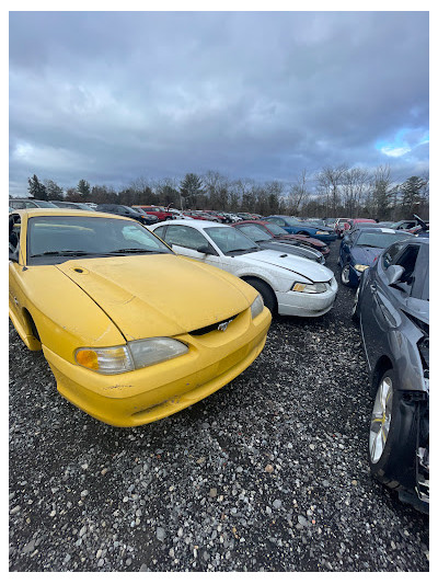 Telford Auto Parts JunkYard in Pottstown (PA) - photo 3