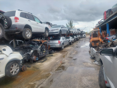 Ferny auto technical salvage JunkYard in West Palm Beach (FL) - photo 2