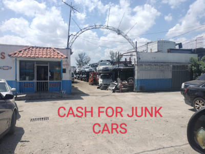 Ferny auto technical salvage JunkYard in West Palm Beach (FL) - photo 4