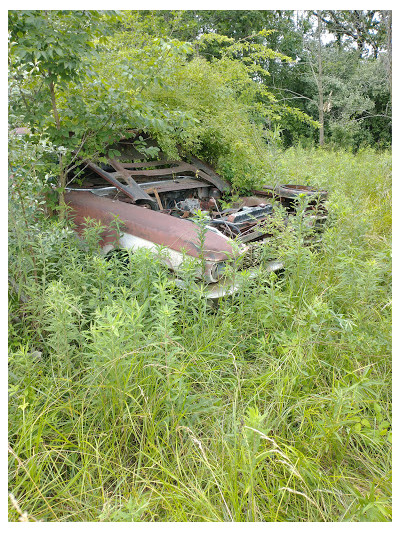 Eaton's auto salvage JunkYard in Champaign (IL) - photo 4