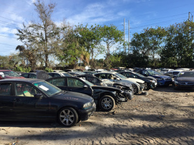 Japanese & European Used Auto JunkYard in Tampa (FL) - photo 2