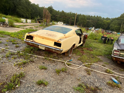 CJ Auto Parts LLC JunkYard in Spartanburg (SC) - photo 2