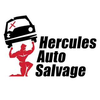 Hercules Auto Salvage JunkYard in Newark (NJ) - photo 3