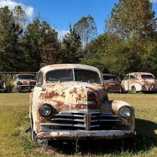 Lane Auto Salvage JunkYard in Murfreesboro (TN) - photo 2