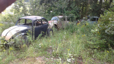 BMMA Used Auto Parts JunkYard in Harrisburg (PA) - photo 1