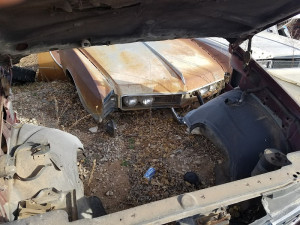 Northeast Auto Salvage - photo 2