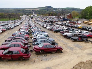 Selvin Car Parts JunkYard in Sandy Springs (GA) - photo 3