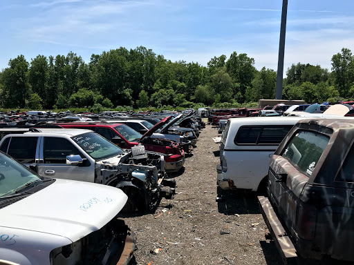 Miechiels Auto Salvage JunkYard in Detroit (MI)