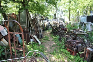 Ole's General Store JunkYard in Rockford (IL) - photo 3