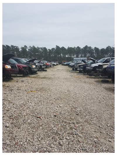 Foss U-Pull-It JunkYard in Jacksonville (NC) - photo 1