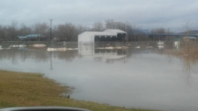 Baker's Auto Salvage JunkYard in Louisville (KY) - photo 2