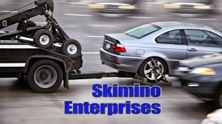 Skimino Enterprises LLC - photo 1