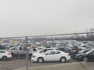 IAA Vehicle Purchasing JunkYard in Nashville (TN) - photo 3