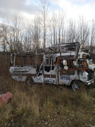 Freeman's Auto Salvage JunkYard in Flint (MI) - photo 3