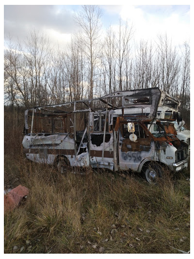 Freeman's Auto Salvage JunkYard in Flint (MI) - photo 3