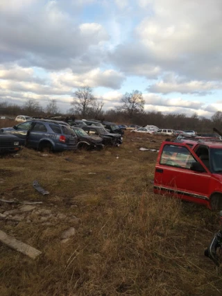 Freeman's Auto Salvage JunkYard in Flint (MI) - photo 4