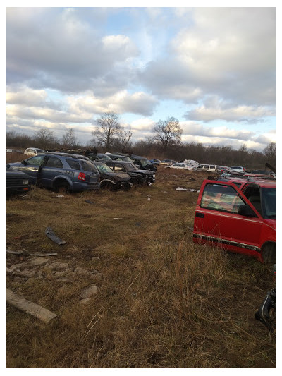 Freeman's Auto Salvage JunkYard in Flint (MI) - photo 4