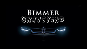 Bimmer Graveyard - photo 1