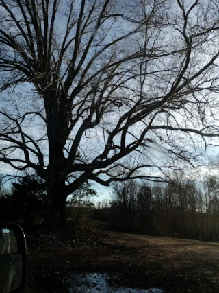 Recycling JunkYard in Hickory (NC) - photo 4