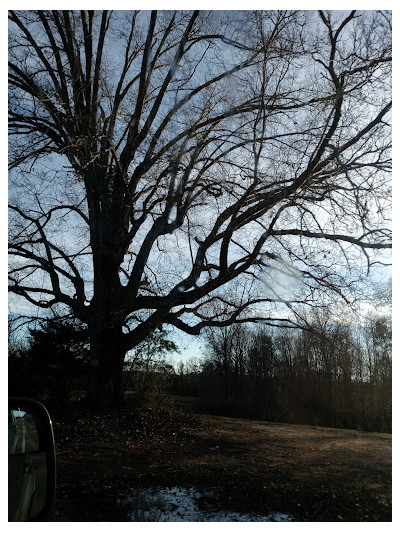 Recycling JunkYard in Hickory (NC) - photo 4