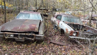 Renick's Used Auto Parts JunkYard in Reading (PA) - photo 2