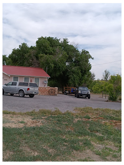 Chapas Auto Parts JunkYard in Pueblo (CO) - photo 4